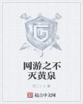网游之不灭法师小说封面